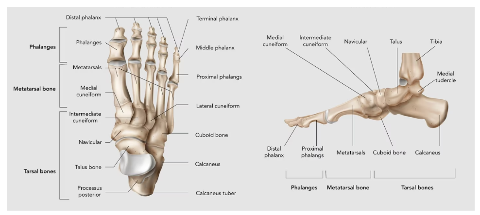 Mithril Medical Yoga